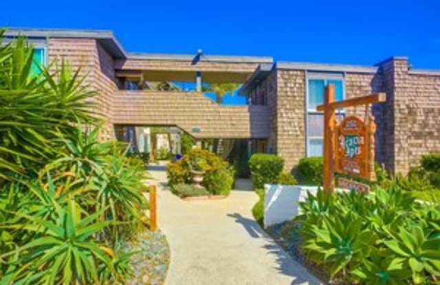 Sea Chase (Acacia Avenue) photos photos