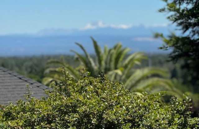 3 Bedroom Shasta Lake Home with Large Fenced Back Yard- Pets Considered Gallery 4