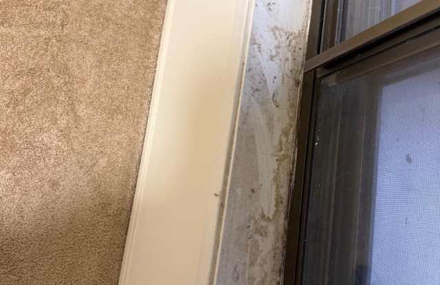 503 FLORIDA Avenue unit: 203 photos photos