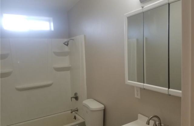 2504 Flower Gallery 3