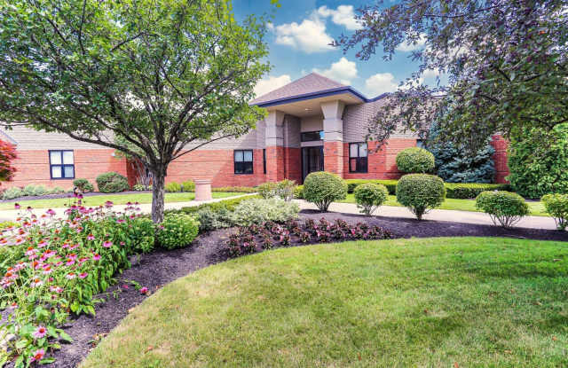 Rustic Village photos photos