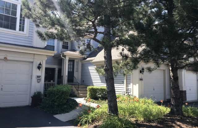 809 Spring Creek Court Gallery 1