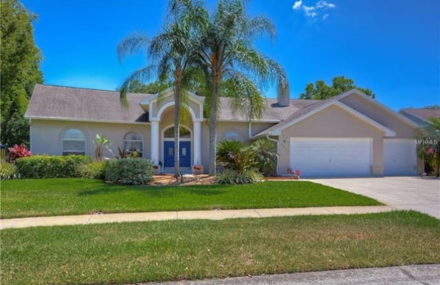 3924 Buckingham Loop Drive - 3924 Buckingham Loop Drive, Valrico, FL 33594