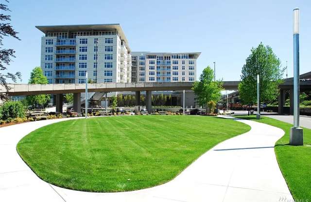 1515 Dock St Unit 210 photos photos