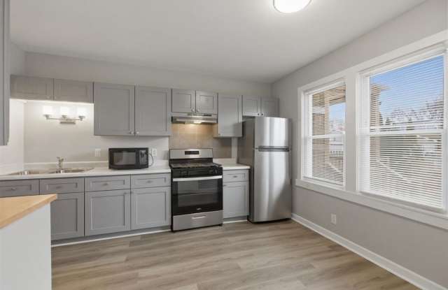 3652 North Nora Avenue - 3652 North Nora Avenue, Chicago, IL 60634