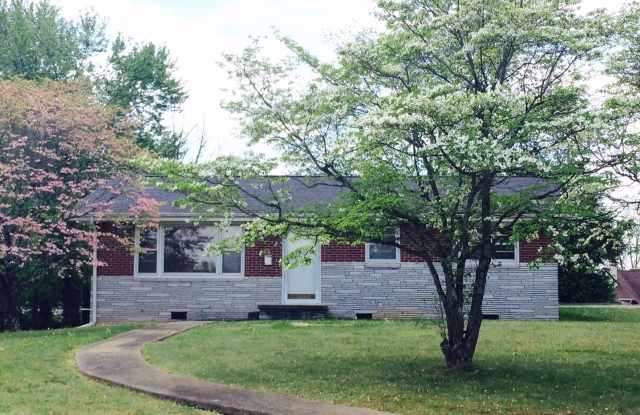House in the Middle of Town - Privacy Fenced Backyard! - 617 Wendover Drive, Johnson City, TN 37604