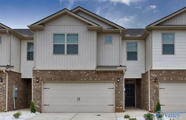 217 Bay Pine Drive - 217 Bay Pine Drive, Triana, AL 35756