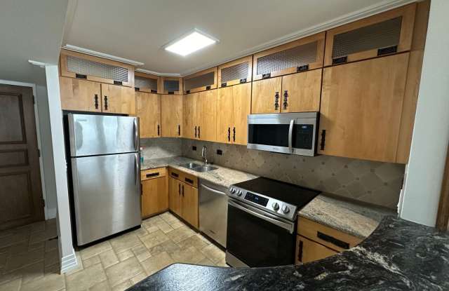 260 E Chestnut Unit 3103 - 260 East Chestnut Street, Chicago, IL 60611