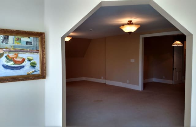 Historic Adler House - Spacious Top-Floor Apartment Home photos photos