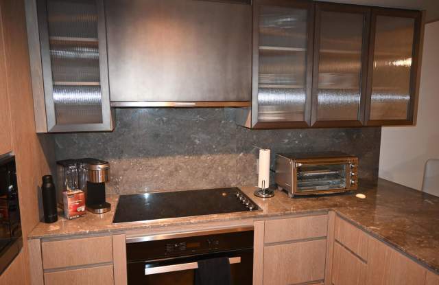 Koula - Furnished 2 bedroom, 2 bath Condo with 2 parking! Gallery 4