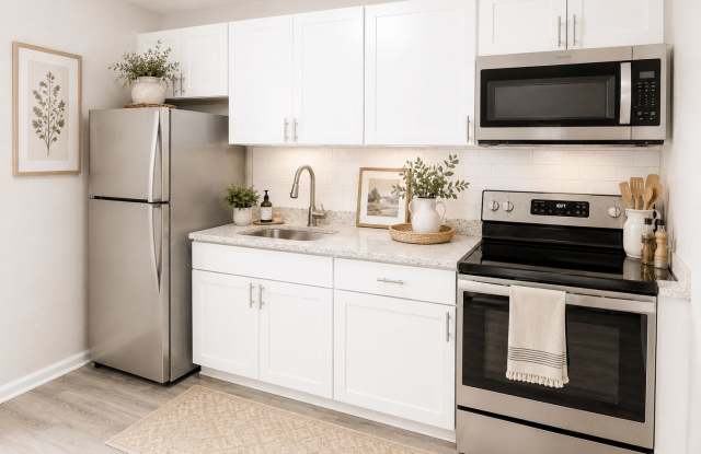 Viceroy Apartments Gallery 2