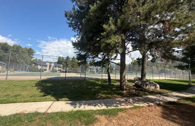 1 Bedroom Condo Near Steamboat Ski Area Gallery 3
