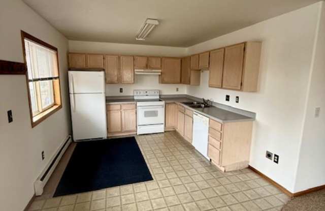 2 Bedrooms 1 Bathroom - 4 Plex - Belgrade Gallery 3