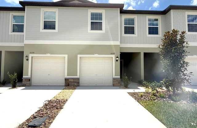 10203 TRUMPET HONEYSUCKLE WAY photos photos