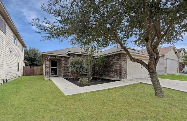 4096 Cherry Tree Gallery 2