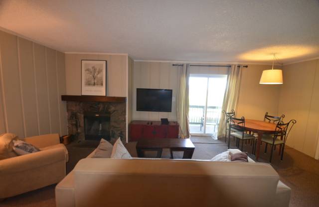 3bed/2bath Condo, 10 minutes from Breck! - 27 Peaks View Court, Blue River, CO 80424