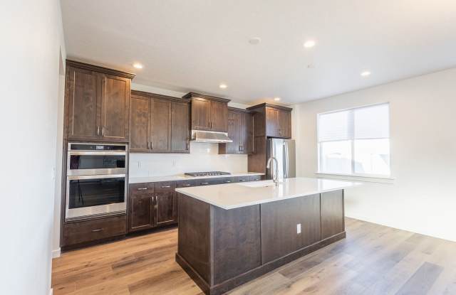 Brand New Home in an Amenity Filled Neighborhood Gallery 3