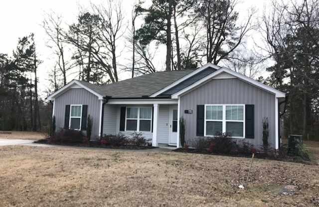 111 Hunter Landing Drive - Available July 31st! photos photos