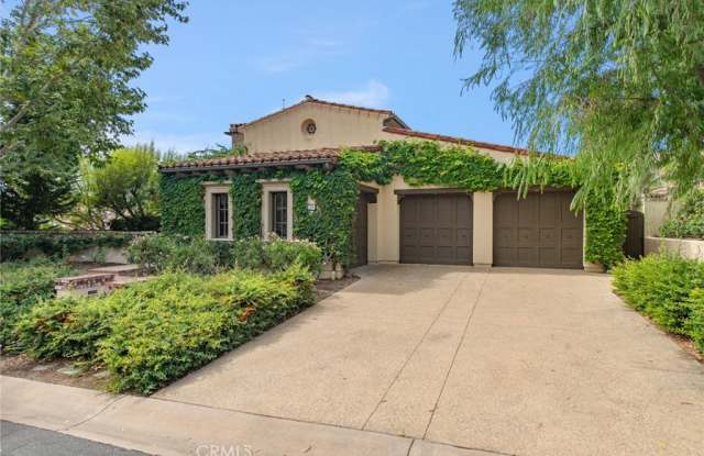 19 Prairie Grass photos photos