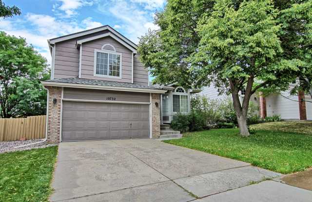 4 bed 3 bath home in Clarke Farms Parker photos photos