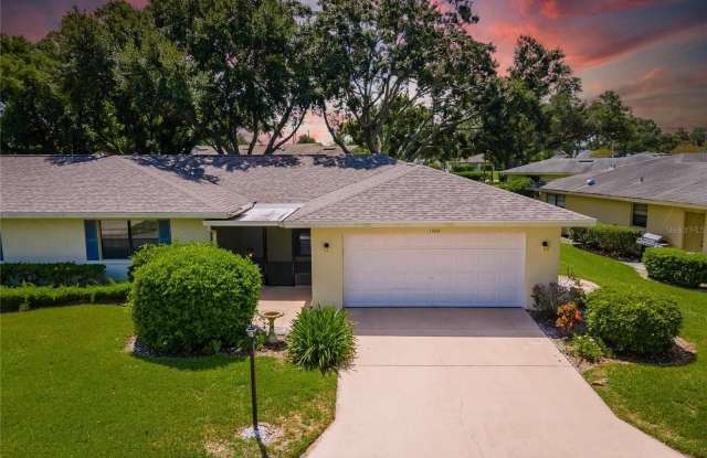 1326 IDLEWOOD DRIVE - 1326 Idlewood Drive, Sun City Center, FL 33573