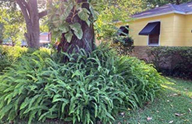 3519 Oleander Street Gallery 2