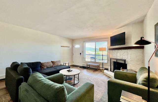 Fantastic Condo in Beautiful Fraser Colorado Gallery 3