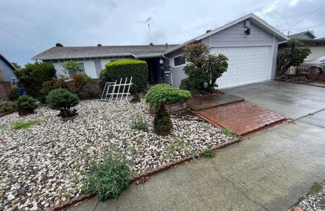 Coming Soon Remodeled 3 bedroom 2 bath House photos photos