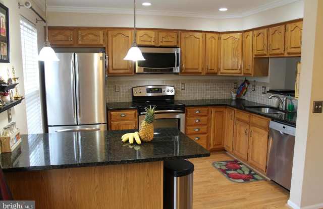 43956 MINTHILL TERRACE Gallery 2