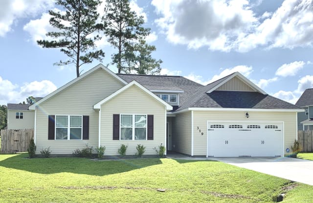 319 Adobe Lane - 319 Adobe Ln, Jacksonville, NC 28546