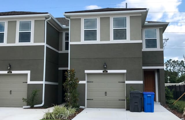 5518 Viola Lee Way - 5518 Viola Lee Way, Cheval, FL 33558