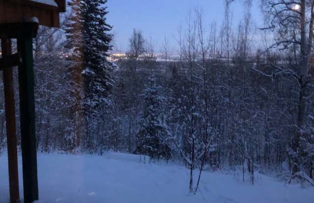 1244 Chena Ridge Road - 1244 Chena Ridge Road, Chena Ridge, AK 99709