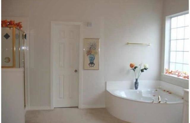 4420 Foxtail Lane Gallery 4