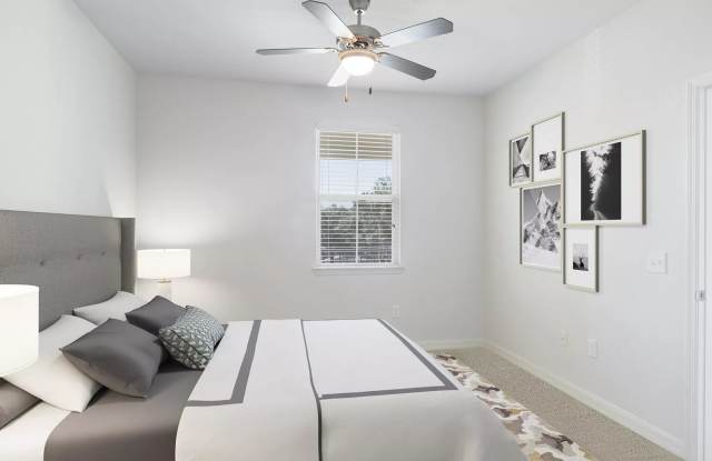 Cortona South Tampa Gallery 3