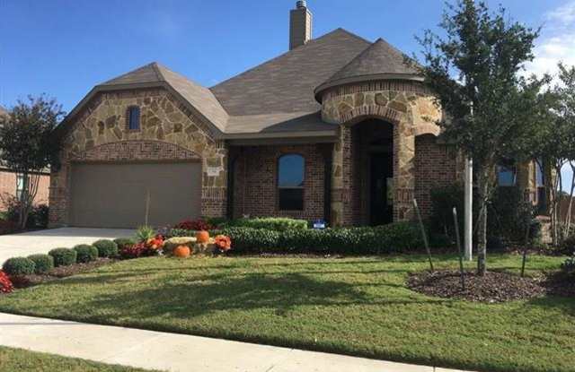 114 Shetland Street - 114 Shetland Street, Waxahachie, TX 75165