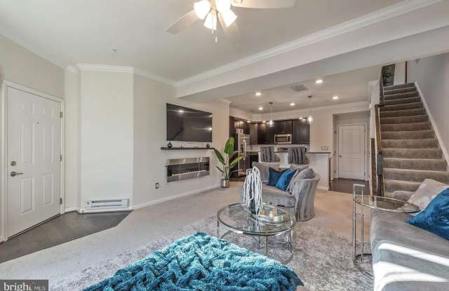 42213 PIEBALD Square Gallery 2