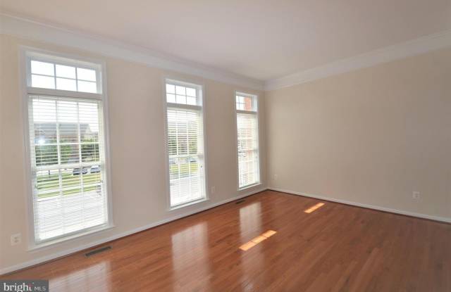 25140 BOOMERANG TER Gallery 4