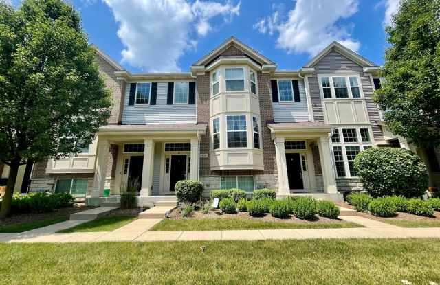 2889 Henley Lane - 2889 Henley Lane, Naperville, IL 60540