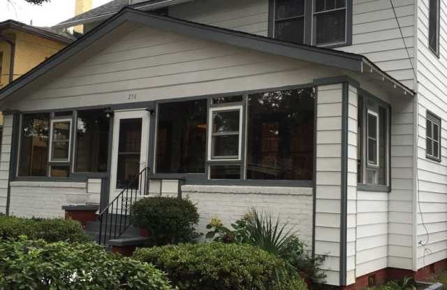 258 Congress Street - 258 Congress Street, Charleston, SC 29403