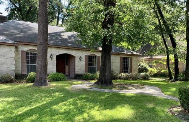 2123 Lakeville Drive - 2123 Lakeville Drive, Houston, TX 77339