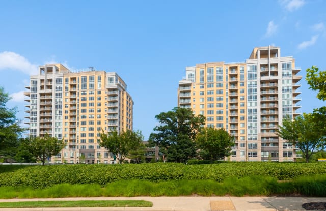 Harrison at Reston Town Center Gallery 2