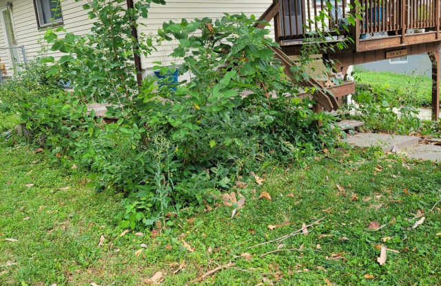 Charming 3BR House in Plattsmouth Gallery 3
