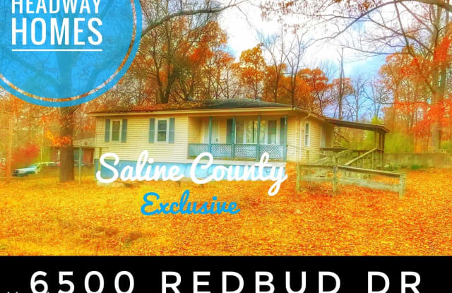 6500 Redbud Dr - 6500 Redbud Drive, Saline County, AR 72103