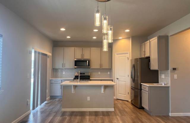 Modern 3 Bed/2.5 Bath Oasis in Parker! Move in Incentive!! - 12729 Horton Court, Parker, CO 80134