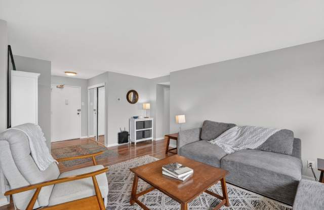 1900 Lyttonsville Road - 1# 1217 Gallery 3