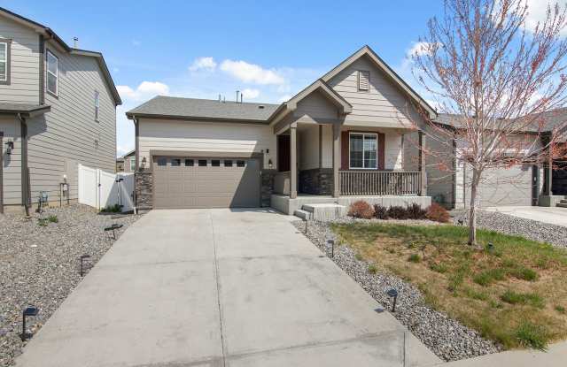 Modern Home With Great Amenities Available NOW! - 1886 Ruddlesway Drive, Windsor, CO 80550 Modern Home With Great Amenities Available NOW! - 1886 Ruddlesway Drive, Windsor, CO 80550