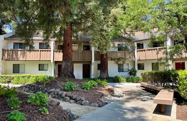 Beautiful Santa Clara Condo Two Bedrooms One Bath Superb Location. photos photos