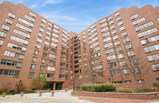801 S Plymouth Court - 801 South Plymouth Court, Chicago, IL 60605