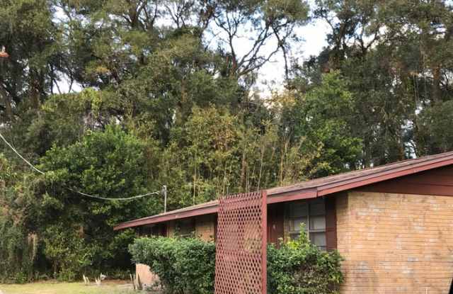 5203 Pine Street - 5203 Pine Street, Mango, FL 33584