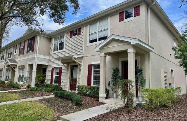 15848 FISHHAWK FALLS DRIVE - 15848 Fishhawk Falls Drive, Fish Hawk, FL 33547